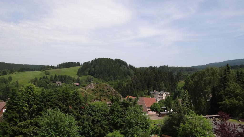 Ferienwohnung Glueck Auf Altenau  Zewnętrze zdjęcie